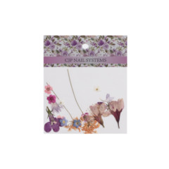 Dried Flower Pack.jpg