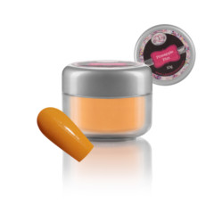 221 Pineapple Fizz 10g Pot With Nail800x800.jpg
